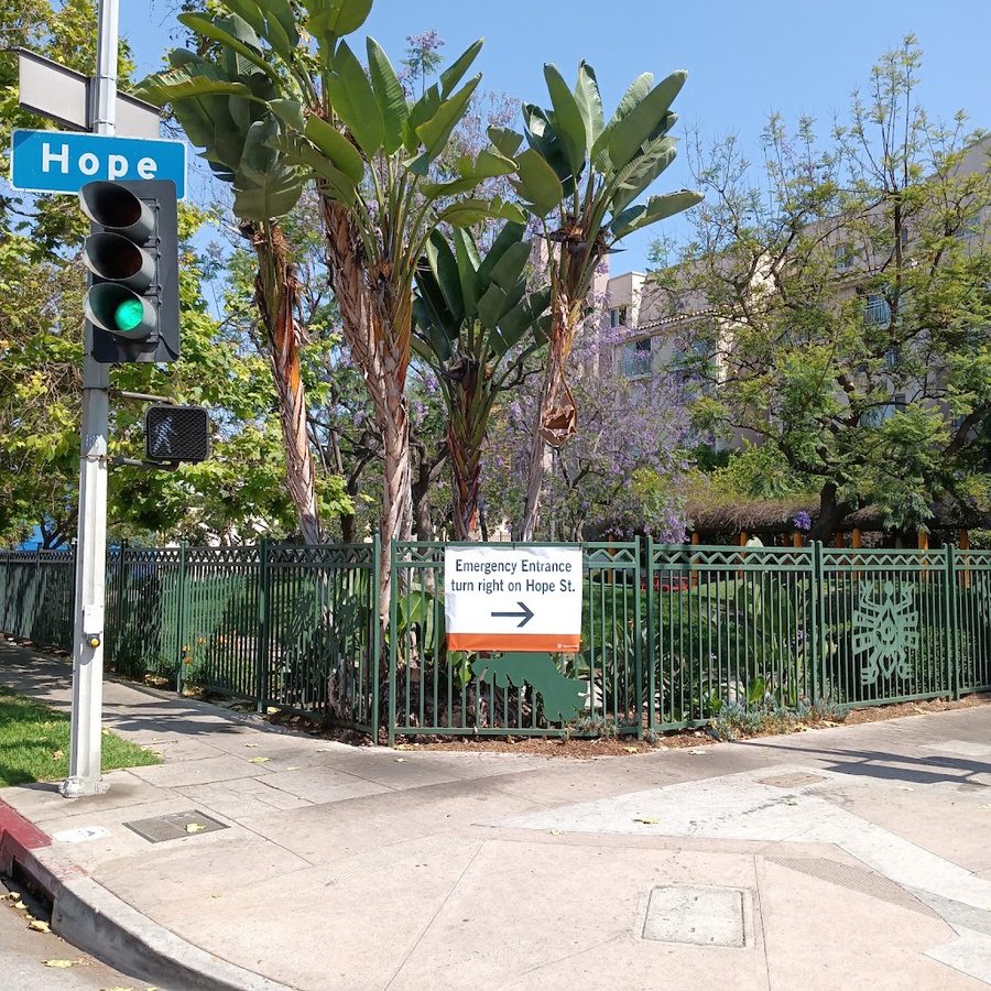 Venice Hope Park