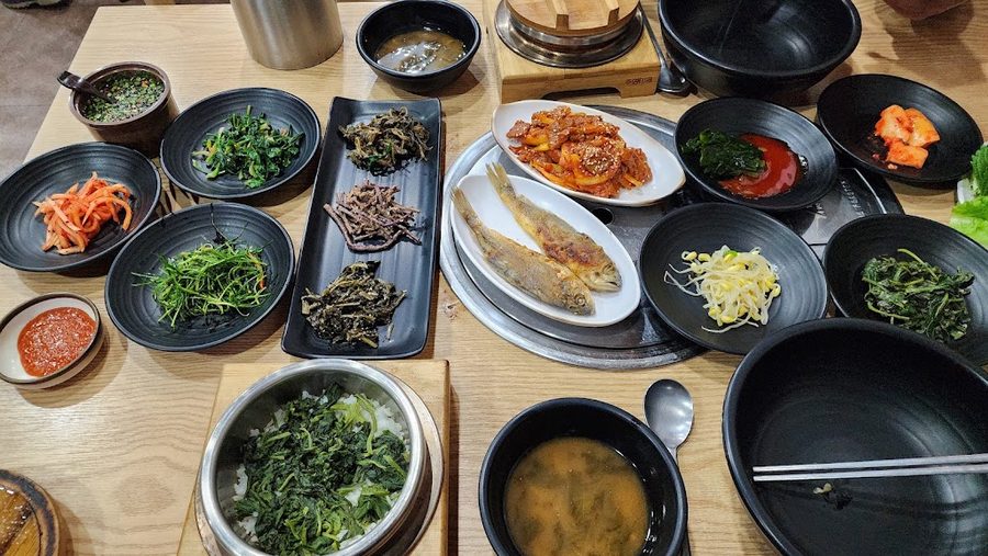 Sanchaega