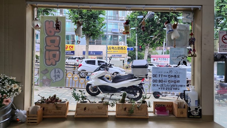 Damjaengi