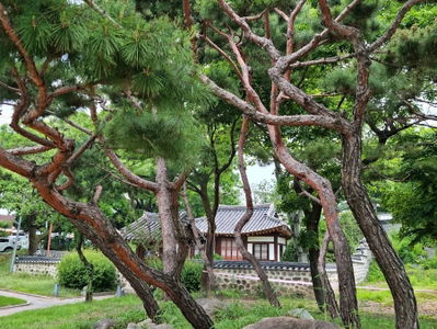 松崖堂