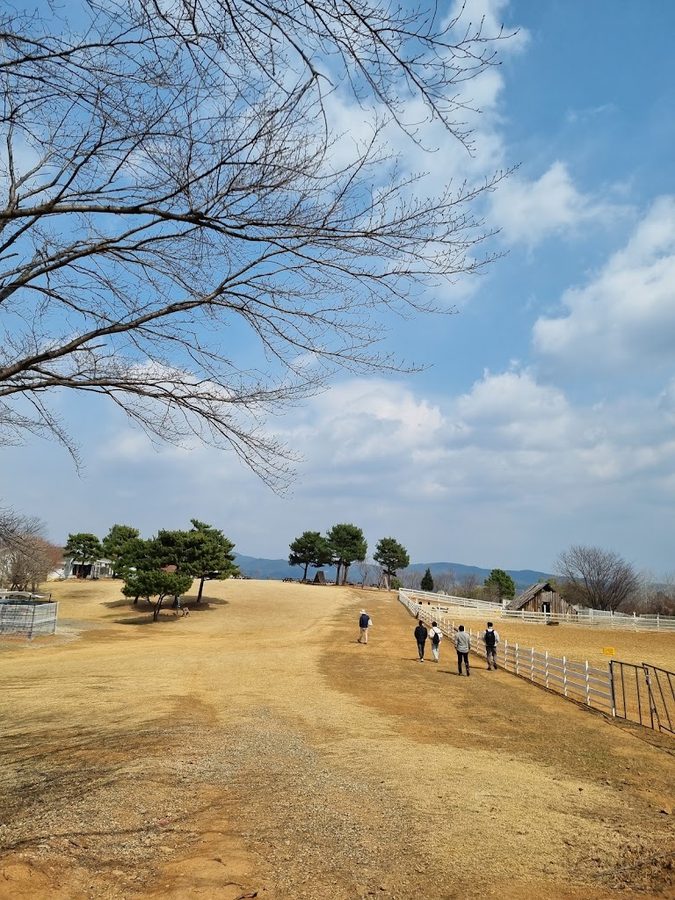 Haetteul Farm