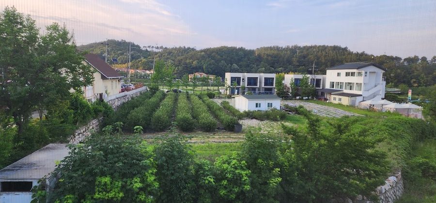 라비앙로즈 감성숙소 보문단지점
