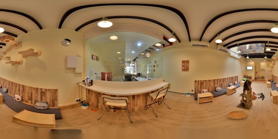 Meomi Cat Cafe