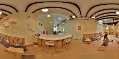 Meomi Cat Cafe