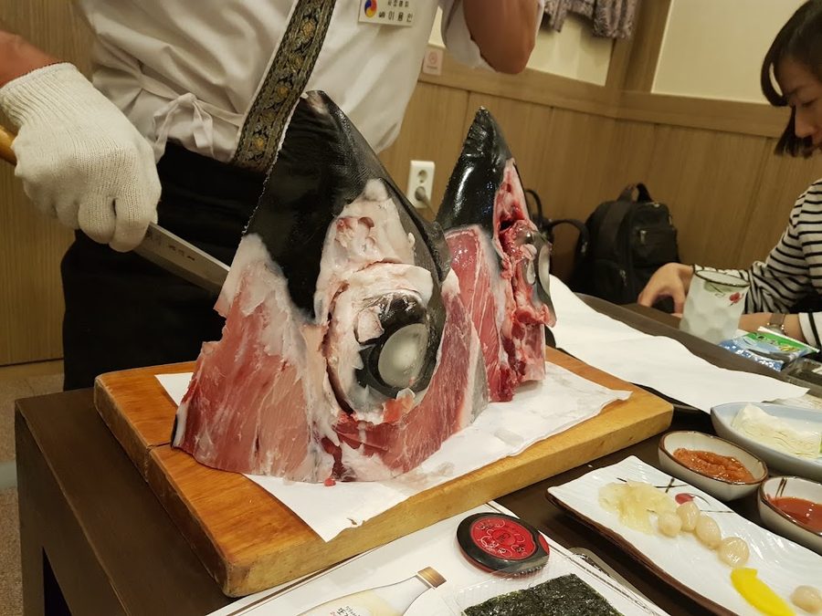 사조참치