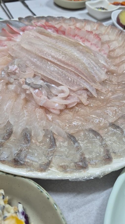 태양회집