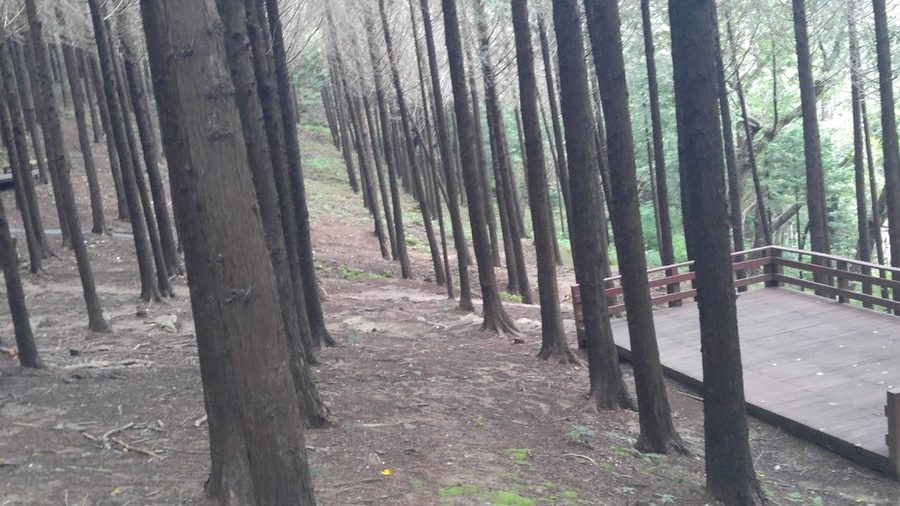 엄광산 길맞이 쉼터