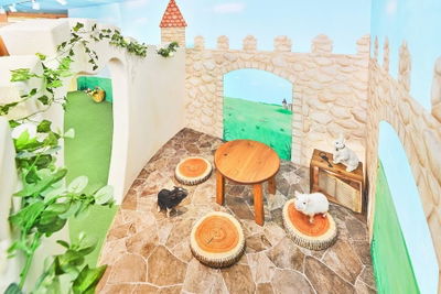 mipig cafe 福岡天神店