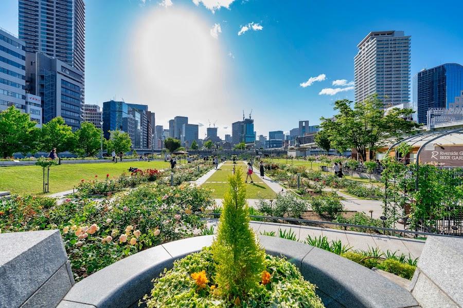 Nakanoshima Rose Garden