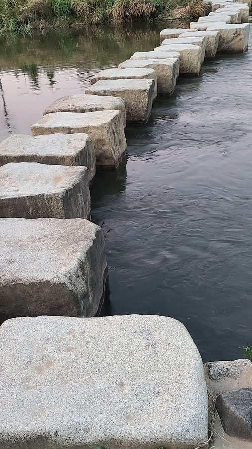 Sewolgyo