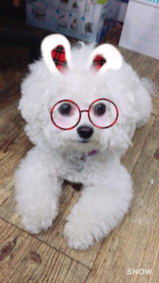 아트만
