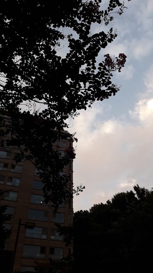 클라시온