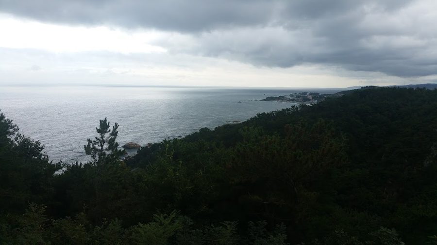 감포댐