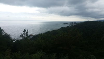 감포댐