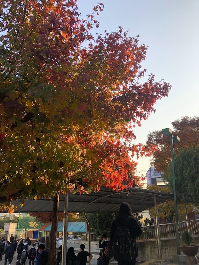 Seolyong