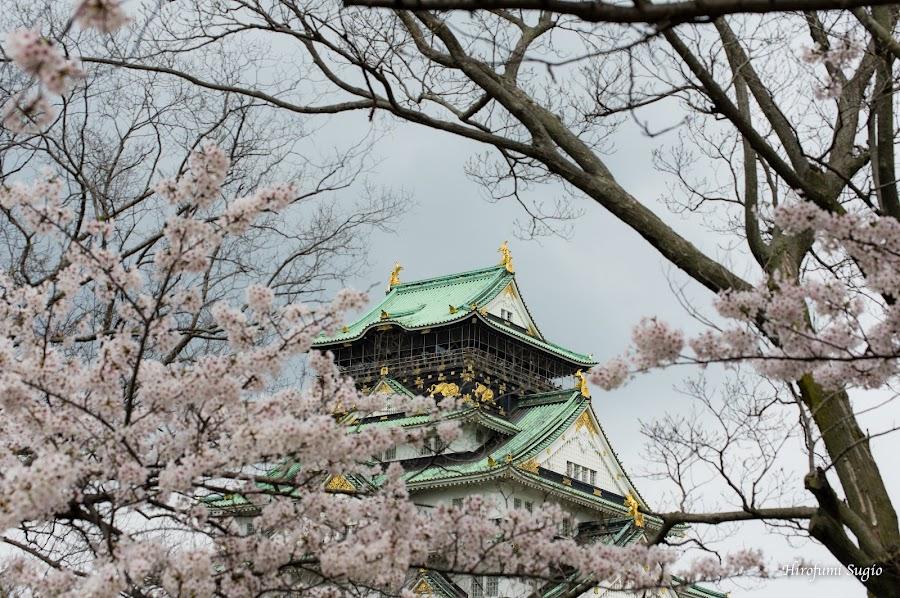 Nishinomaru Garden