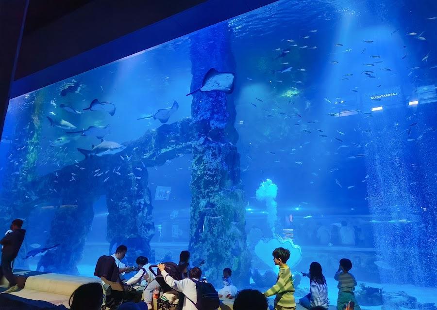 LOTTE WORLD AQUARIUM