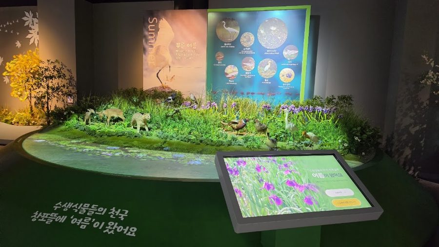 Hwapocheon Wetland Science Museum