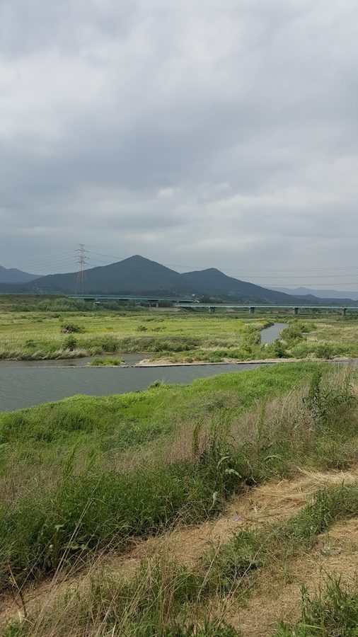 綠色公園
