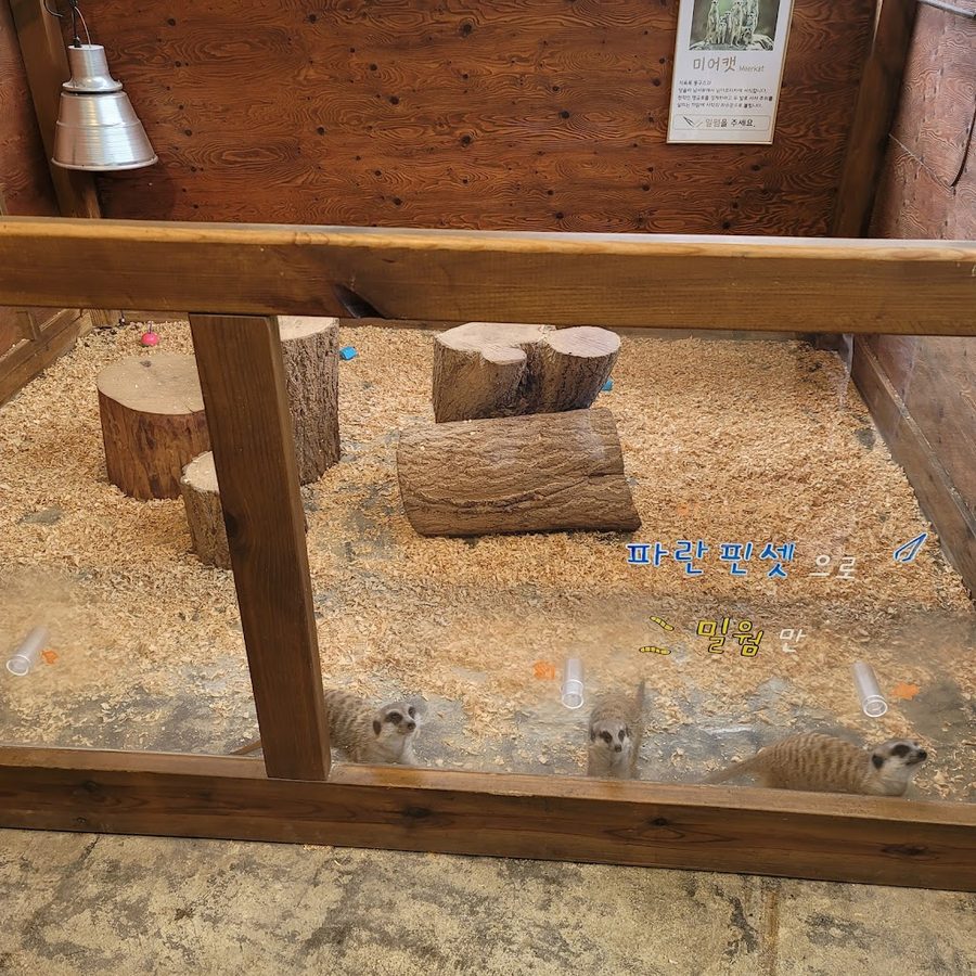 巴豆動物園