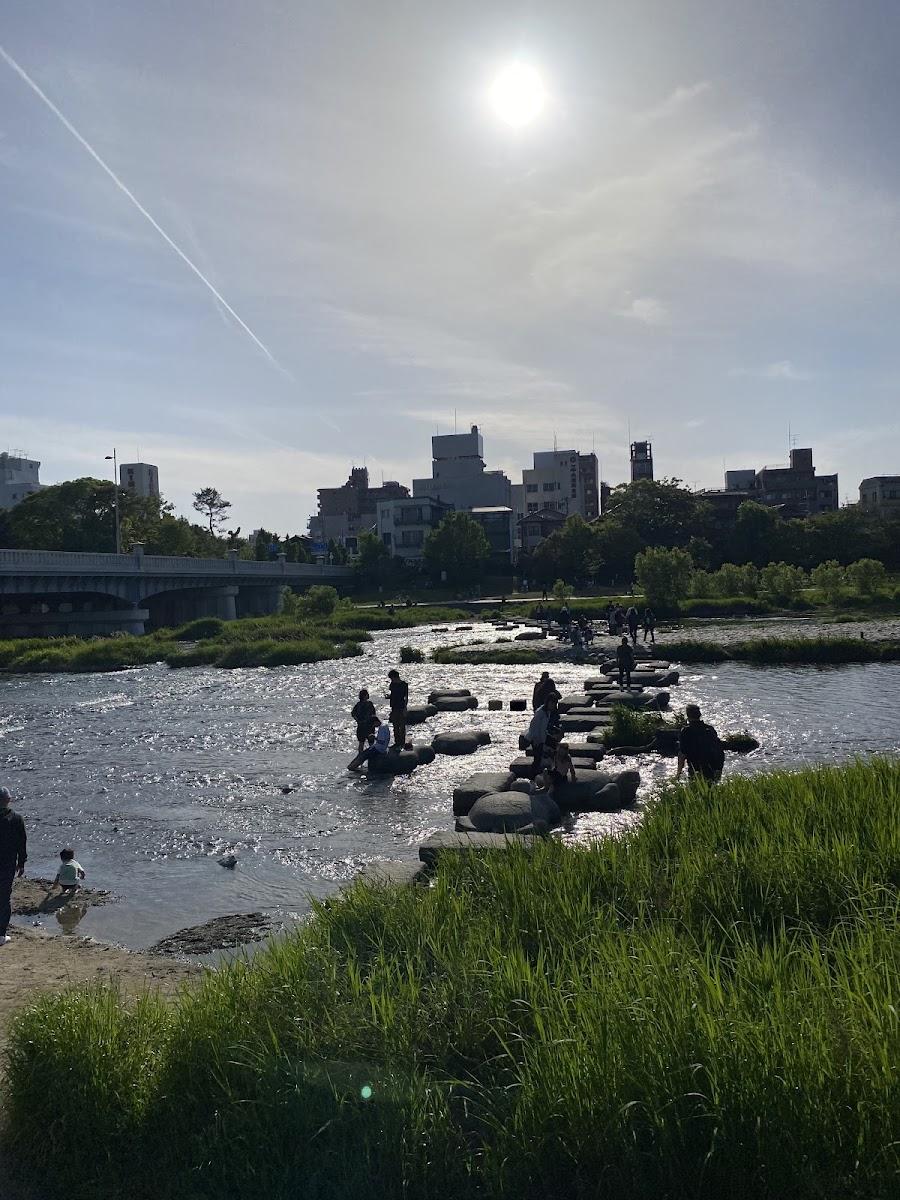 Kamogawa Delta