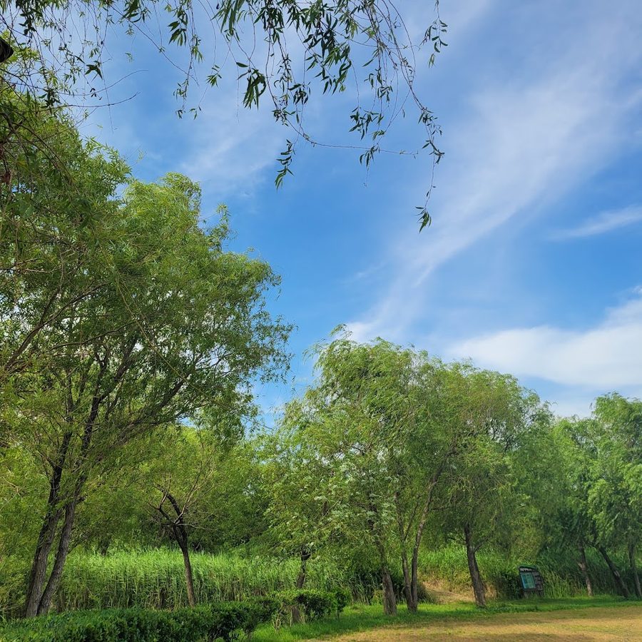 Samnak Ecological Park Bicycle Rental