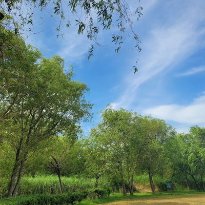 Samnak Ecological Park Bicycle Rental