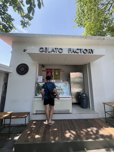 Gelato Factory Single Fin