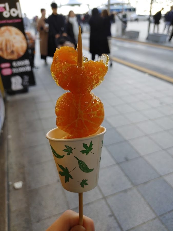 정통왕가탕후루 붕어빵