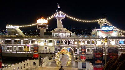 Cruise378