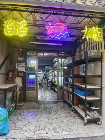 逍遙水族館 魚缸保養，水草造景，魚缸訂製，室外庭園造景，水池魚池維護保養，魚池防水，生態魚池，台灣原生魚