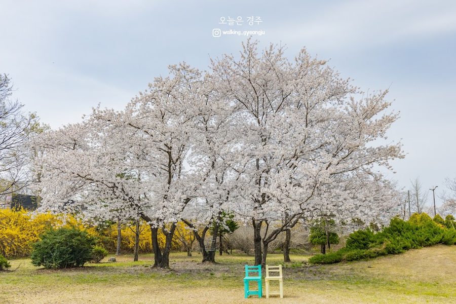 新羅王京森