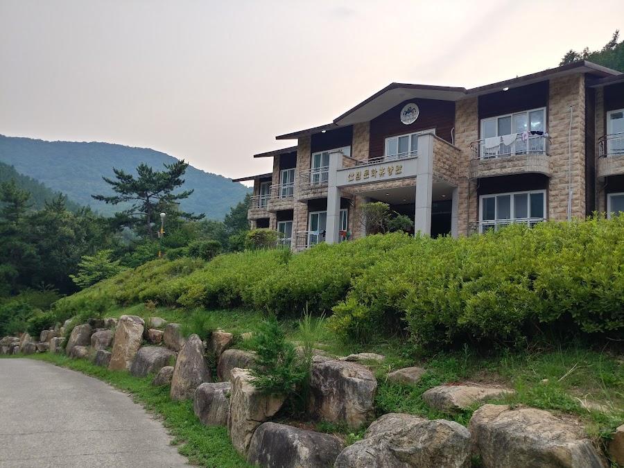 National Namhae Cypress Natural Recreation Forest