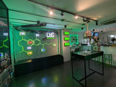 CBG Khaosan by Buddy Grow 大麻