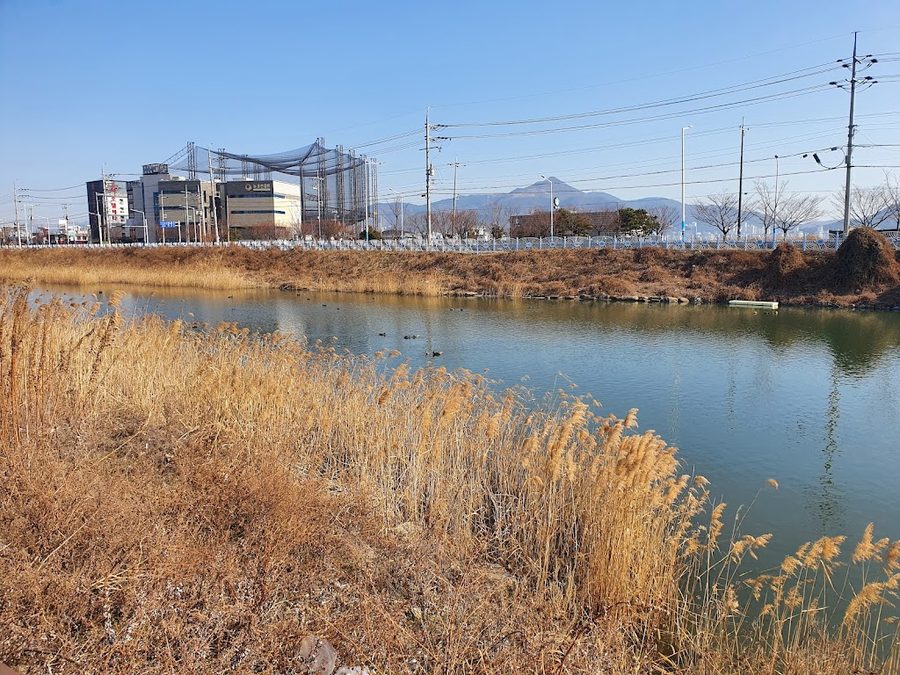 Neoul Park