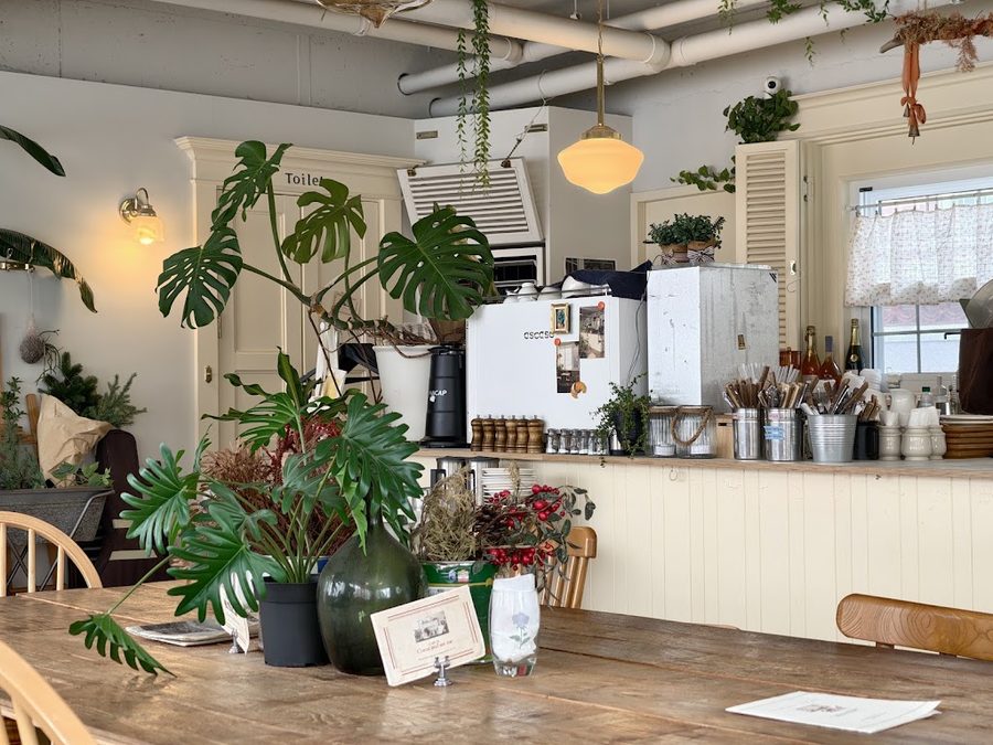 Cafe come and see me