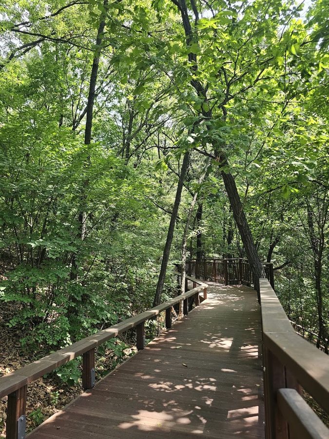 Dogumeori Park