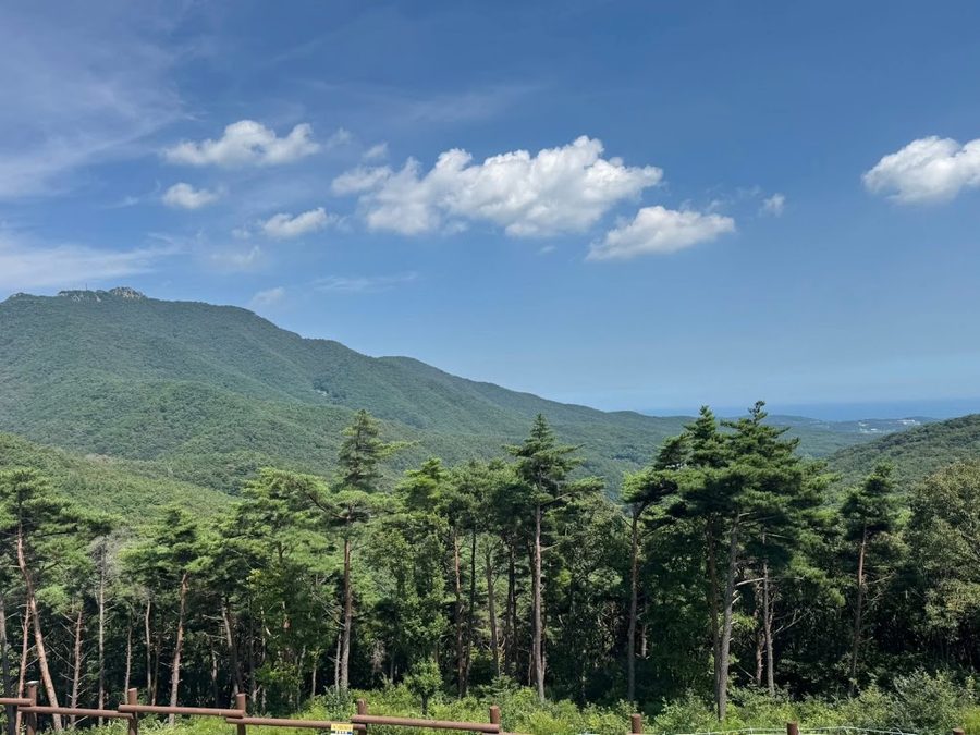 국립달음산자연휴양림
