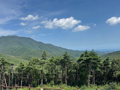 Gungnip Dareumsan Natural Recreation Forest