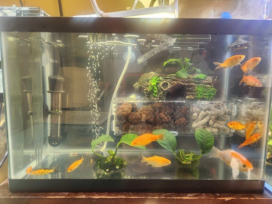 119 Aquarium