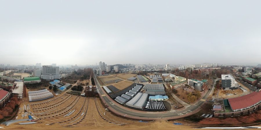 全南大学校