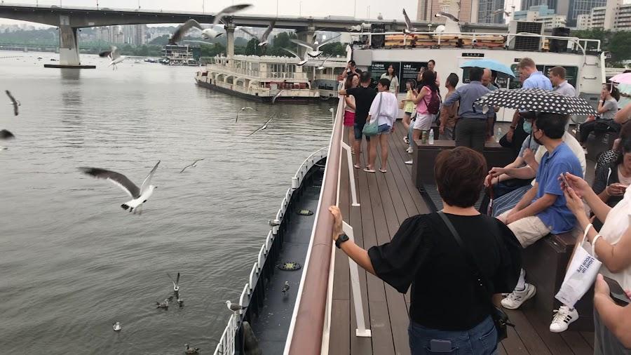 E-Land Cruise