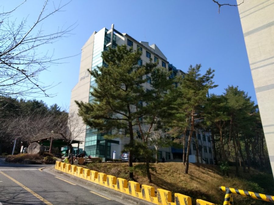 釜山大學真理館茶洞
