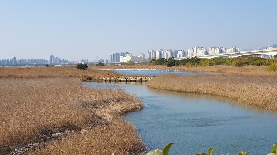 Eulsukdo Migratory Bird Park