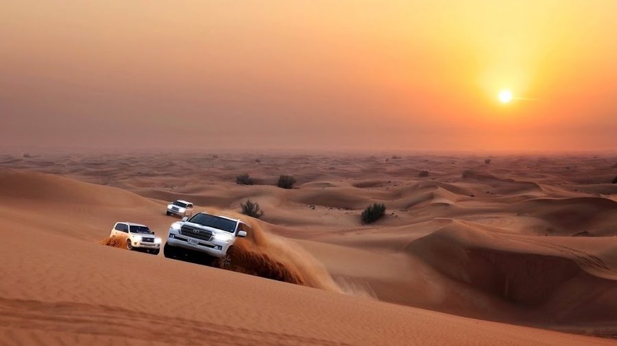 Desert Journey Tourism