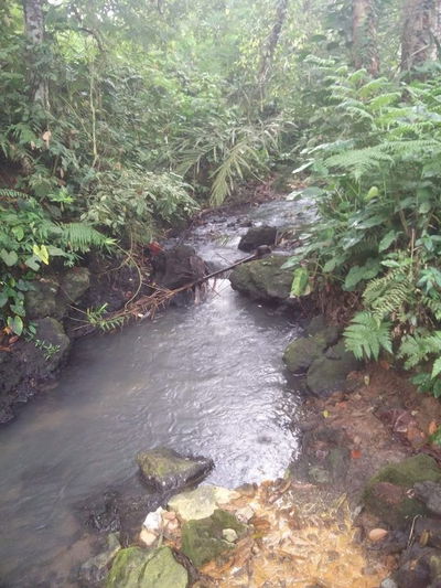 Babahan Natural Hot Springs