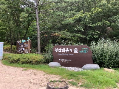 釜山 治癒林