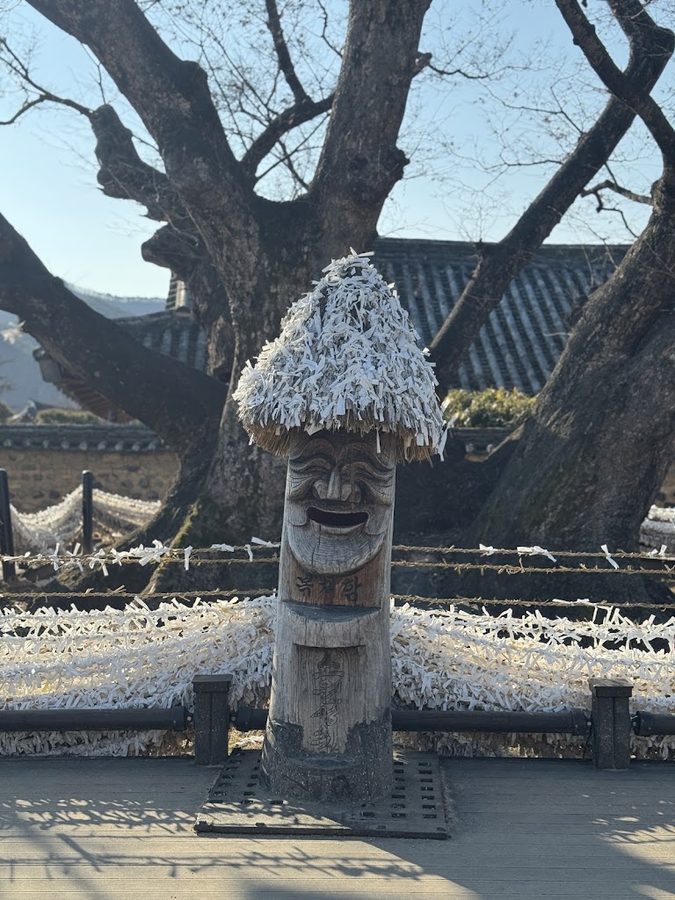 하회마을 삼신당 신목