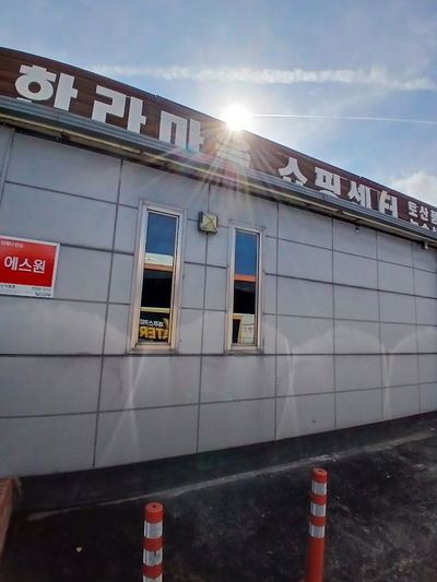 Honey濟州旅行社