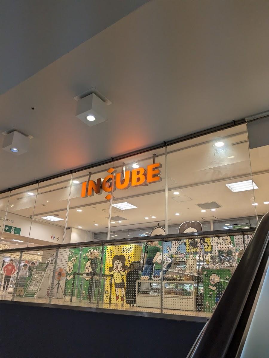 Incube